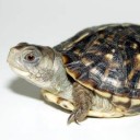 สมาชิกหมายเลข 2031380