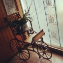 สมาชิกหมายเลข 1665157