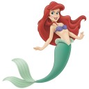 สมาชิกหมายเลข 3317205