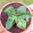 สมาชิกหมายเลข 774148