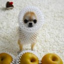 สมาชิกหมายเลข 798407