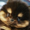 สมาชิกหมายเลข 841347