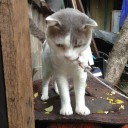 สมาชิกหมายเลข 1044824