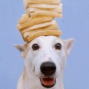 สมาชิกหมายเลข 2243095