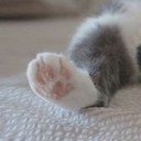 สมาชิกหมายเลข 763149