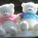 สมาชิกหมายเลข 782565