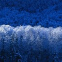 สมาชิกหมายเลข 1582234