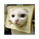 สมาชิกหมายเลข 1666864