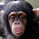 สมาชิกหมายเลข 2093135