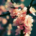 มีอะไรให้คิดอีกเยอะ!!