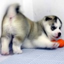 สมาชิกหมายเลข 776628