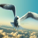 สมาชิกหมายเลข 1236223