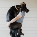 สมาชิกหมายเลข 1108668