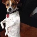 สมาชิกหมายเลข 2088940