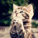 สมาชิกหมายเลข 2094254