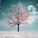 สมาชิกหมายเลข 1392863