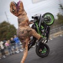 สมาชิกหมายเลข 2364667