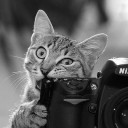 สมาชิกหมายเลข 3318362