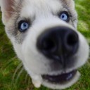 สมาชิกหมายเลข 3319424