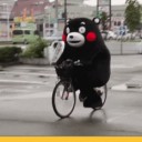 สมาชิกหมายเลข 2366689