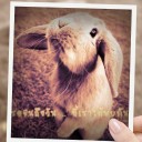 สมาชิกหมายเลข 2820194