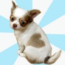 There Is Hope There Is Life