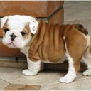 สมาชิกหมายเลข 843251