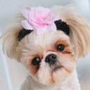 หนอนน้อยในทุ่งกว้าง