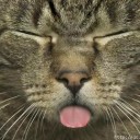 สมาชิกหมายเลข 1668451