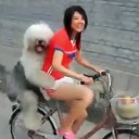 สมาชิกหมายเลข 840979