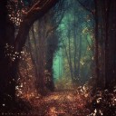 สมาชิกหมายเลข 1228202