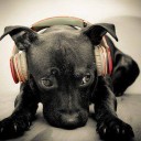 สมาชิกหมายเลข 1927272