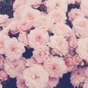 สมาชิกหมายเลข 848347