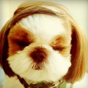 สมาชิกหมายเลข 1245996