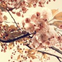 เพียงเม็ดทราย