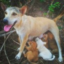 สมาชิกหมายเลข 2095121