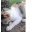 สมาชิกหมายเลข 1915136