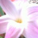 สมาชิกหมายเลข 846666