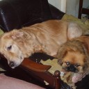 สมาชิกหมายเลข 1669627