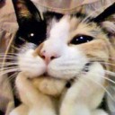 สมาชิกหมายเลข 1669824