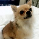 สมาชิกหมายเลข 1818835