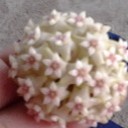 สมาชิกหมายเลข 847710