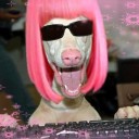 สมาชิกหมายเลข 1670242