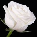 สมาชิกหมายเลข 2095758