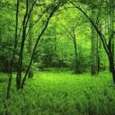 สมาชิกหมายเลข 2482098