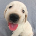 สมาชิกหมายเลข 2883765