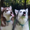 สมาชิกหมายเลข 3321631