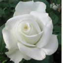 สมาชิกหมายเลข 841259