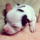 สมาชิกหมายเลข 1196031