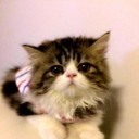 สมาชิกหมายเลข 1246964